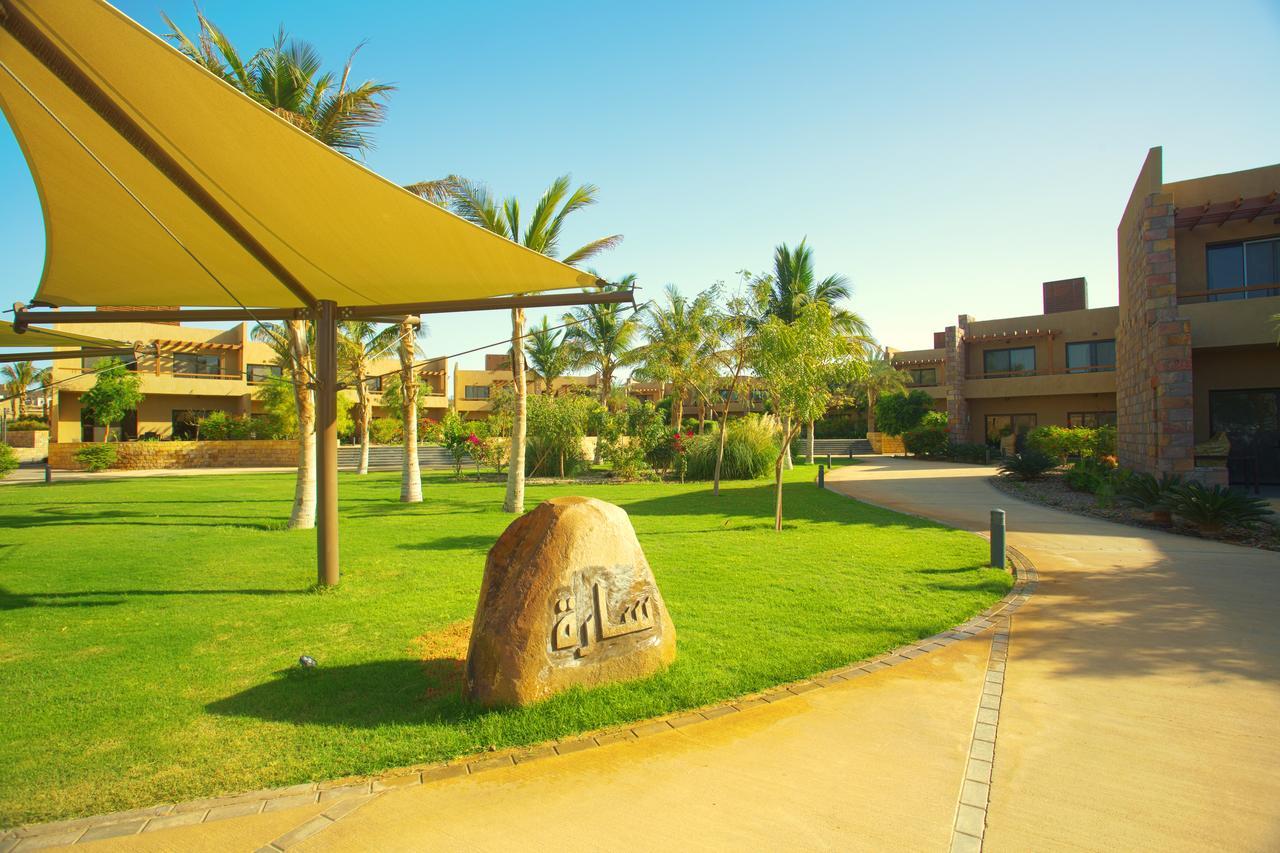 جولدن توليب 4* شارما